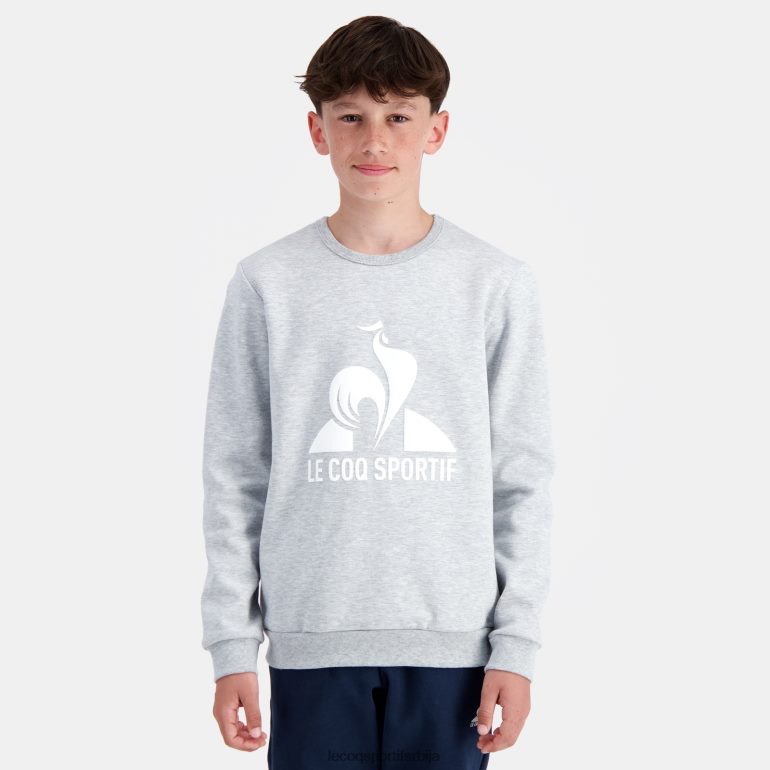 деца Le Coq Sportif дуксерица сива одећу LVZN2D397